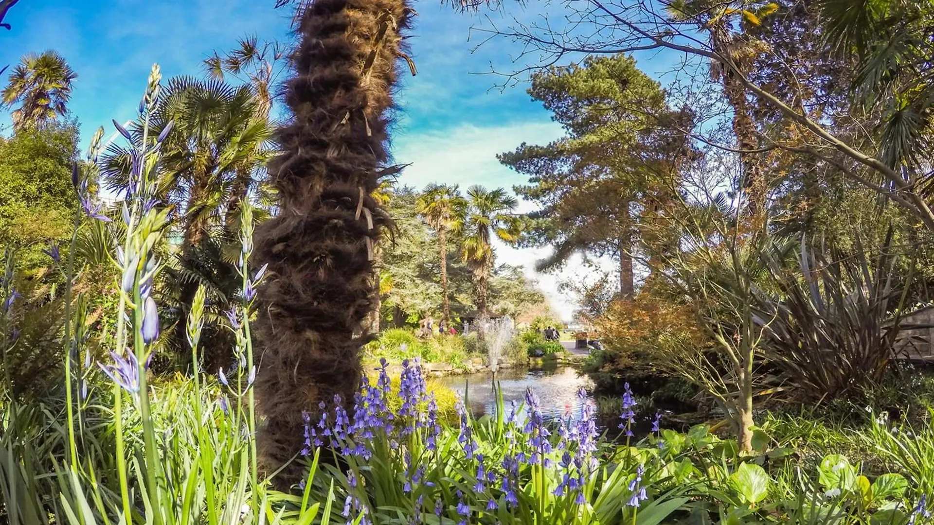 Bournecoast - Clifftop Apartment With Garden -Fm827 Bournemouth